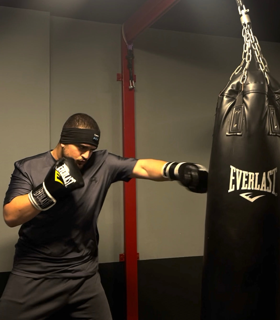 TerraWave Music HeadBand